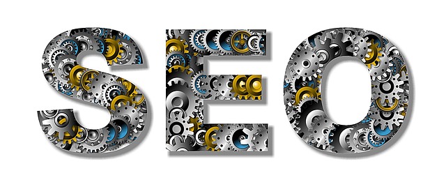 Website in leiden